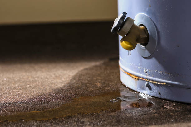 Best Water damage restoration specialists  in Star, NC