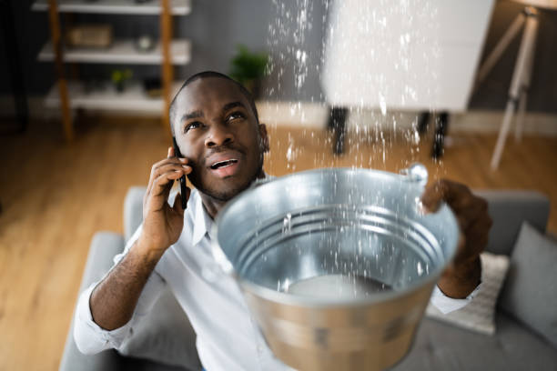 Best Water damage cleanup near me  in Star, NC