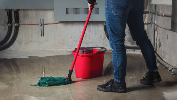 Best Local water damage restoration  in Star, NC
