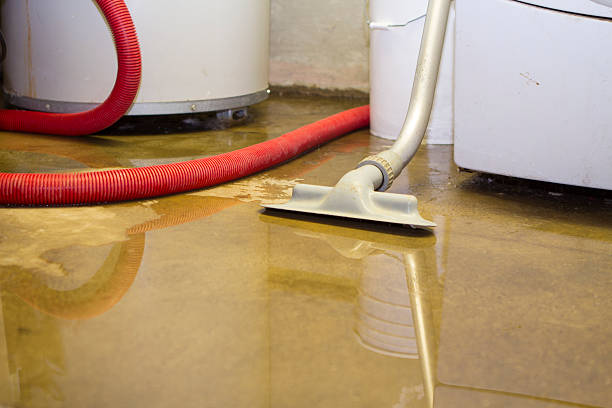 Best Flood restoration services  in Star, NC