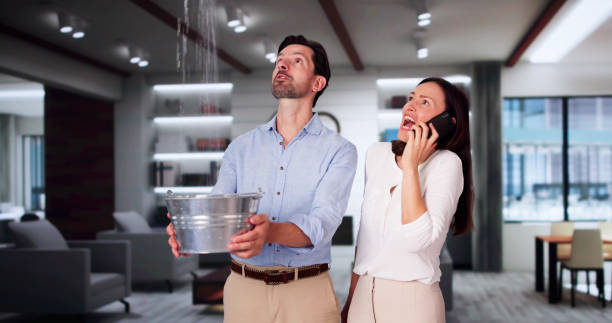 Best Mold removal after water damage  in Star, NC